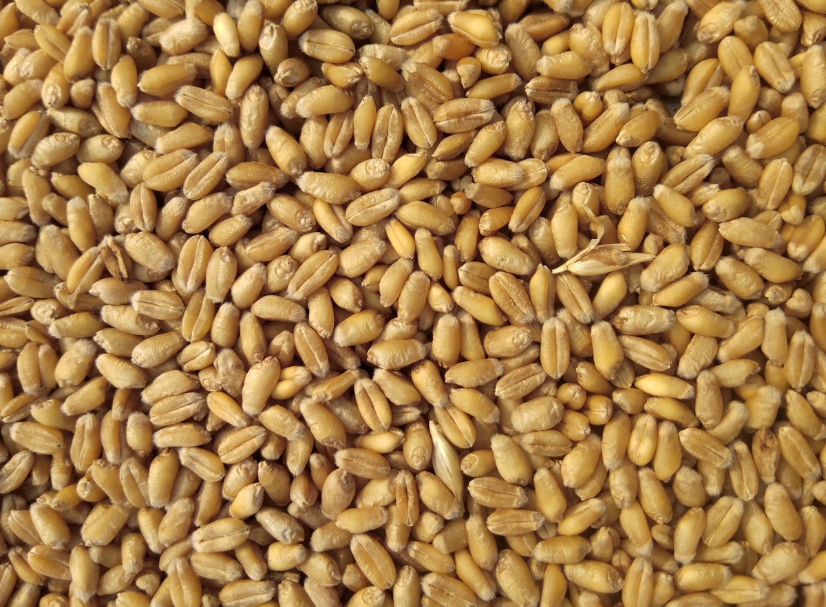 Grains & Cereals